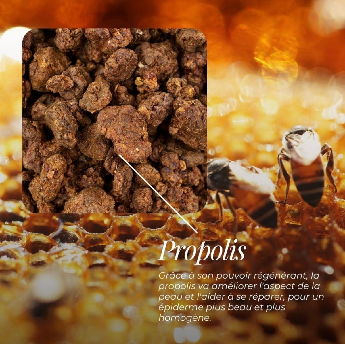Savon Surgras Bio Miel & Propolis