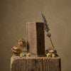 Savon Surgras Bio Nigelle Neutre