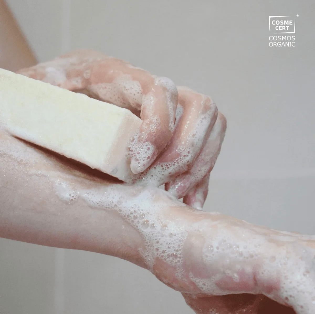 Savon Surgras Bio Lait d'Avoine